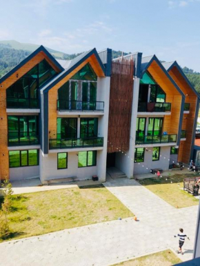 Snow forest bakuriani 17B